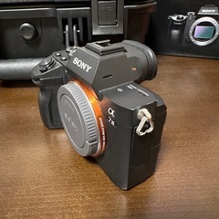 SONY α7III 本体
の画像