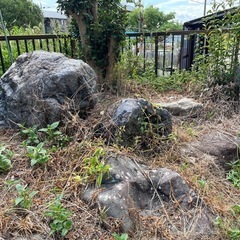 京都産の日本庭園の庭石の画像