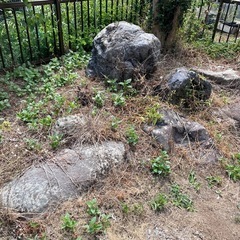京都産の日本庭園の庭石の画像