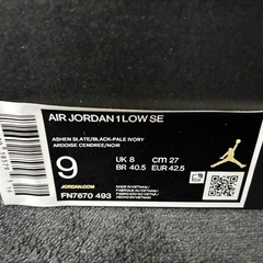 NIKE AIR JORDAN 1 LOW SE の画像