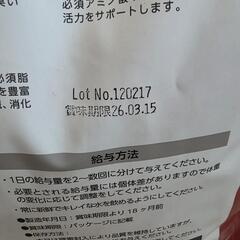 ELMO　ドッグフード　猪　9kg　03.15の画像