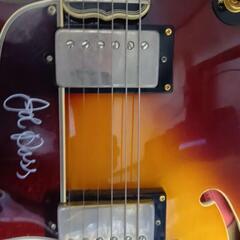 【激レア！】Epiphone Emperor Ⅱジョー・パスモデル　レフティの画像