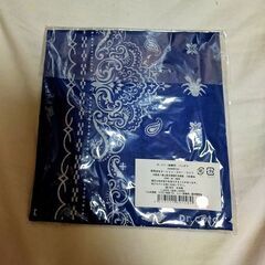  ★dr.コトー診療所　バンダナ 未使用品の画像