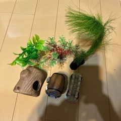 水槽の画像