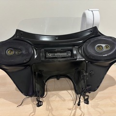 ヤッコウカウルの画像
