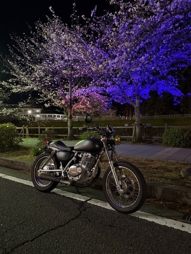 早い者勝ち ST250