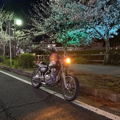 早い者勝ち ST250の画像
