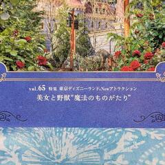 ファンダフル ディズニー ・vol.65 美女と野獣“魔法のものがたりの画像