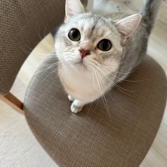 中断