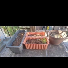 プランターポット5個の画像