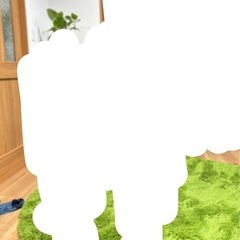 ラグ　グリーン190cm円形の画像