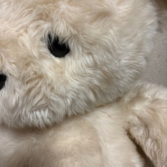 くまのぬいぐるみの画像