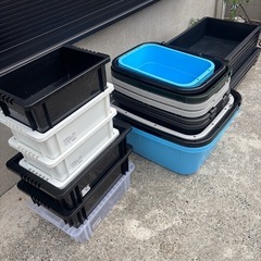 ジャンボタライ　プラ舟　たらい　NVボックス　メダカ飼育容器の画像