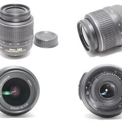 ショット数732枚 新品級の美品 Nikon D3100 スマホ転送OK 高画質の画像