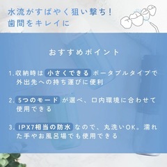 (未使用品)　ドリテック　ジェットウォッシャー　の画像