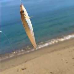 女の子の釣り友達探してます！