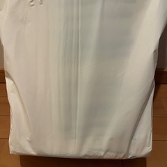 ダフィ　大人用オムツ　テープ式　20枚　6回吸収　Lサイズの画像