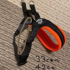 犬用ハーネス＆リードの画像