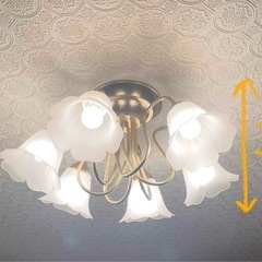 花型の
シャンデリアの画像