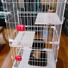 猫ちゃんゲージ　代理出品の画像