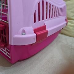 キャット猫ちゃん用ケースでしたの画像