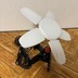 ランキングキーワードに紐づく投稿画像-メダカ