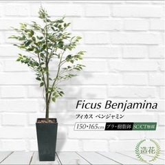 フェイクグリーンの画像