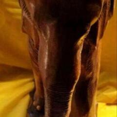 象の一刀彫の置物ですの画像