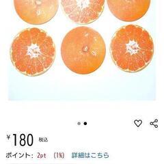 【新品未使用品】グラシアス みかん 紙コースター 両面印刷 レアの画像