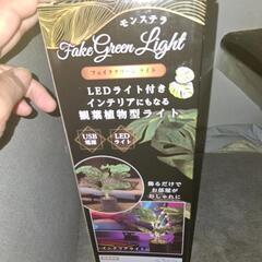 観葉植物型ライト　モンステラの画像