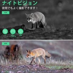 FKPCAM トレイルカメラ ソーラー式 赤外線カメラ スマホ対応 4K 64MP 野生動物監視カメラ 防犯カメラ 超高速トリガー 動画4Ｋ ソーラーパネール１個付き 5000mAh充電電池付き 夜間低輝度光らく赤外線LED 人感センサー IP67級防水防塵の画像