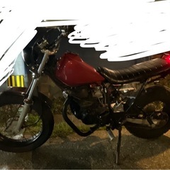 YAMAHA TW200の画像