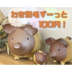 人気脱毛サロンスタッフ募集！初心者大歓迎！時給970〜(近々UP予定)20万以上可能！脱毛機無料使用！社員も同時募集！の画像