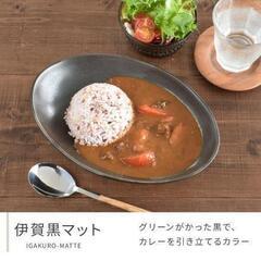 【美品】オーバル カレー皿 パスタボウル の画像