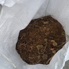 無料で差し上げます　庭土　残土の画像