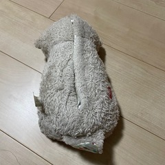 おやすみラッコ　の画像