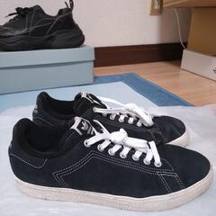 アディダス スタンスミス/adidas stan smithの画像