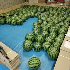 🍉滝沢スイカ無人販売①🍉の画像