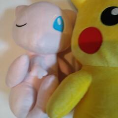 新品 ポケモン ぬいぐるみ3点セットの画像