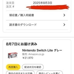 本日限定特価Switchライトの画像