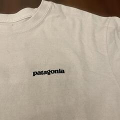 Patagonia（パタゴニア）Tシャツ　レギュラーフィットSサイズの画像
