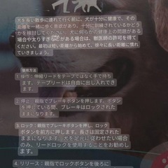 小型犬用　伸縮リード　自動格納式の画像