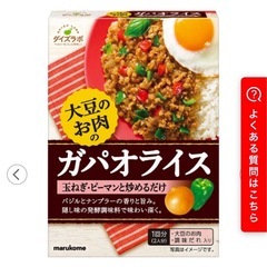 20個　ガパオライスの素の画像
