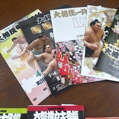 大相撲雑誌　力士　大相撲ファン　レア　の画像