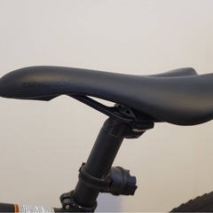 【8/10より20%お値引き中】自転車 キャノンデール CANNONDALE バッドボーイ2の画像
