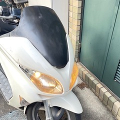 フォルツァの画像