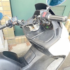 フォルツァの画像