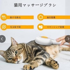 新品ペット用ブラシ　長毛短毛用　ワンタッチ式の画像