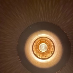 ミステルフルトの画像