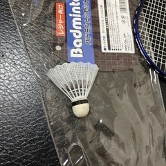 バトミントン　セットの画像